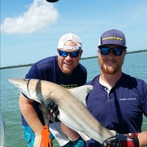 Meet your Posher, Dusty